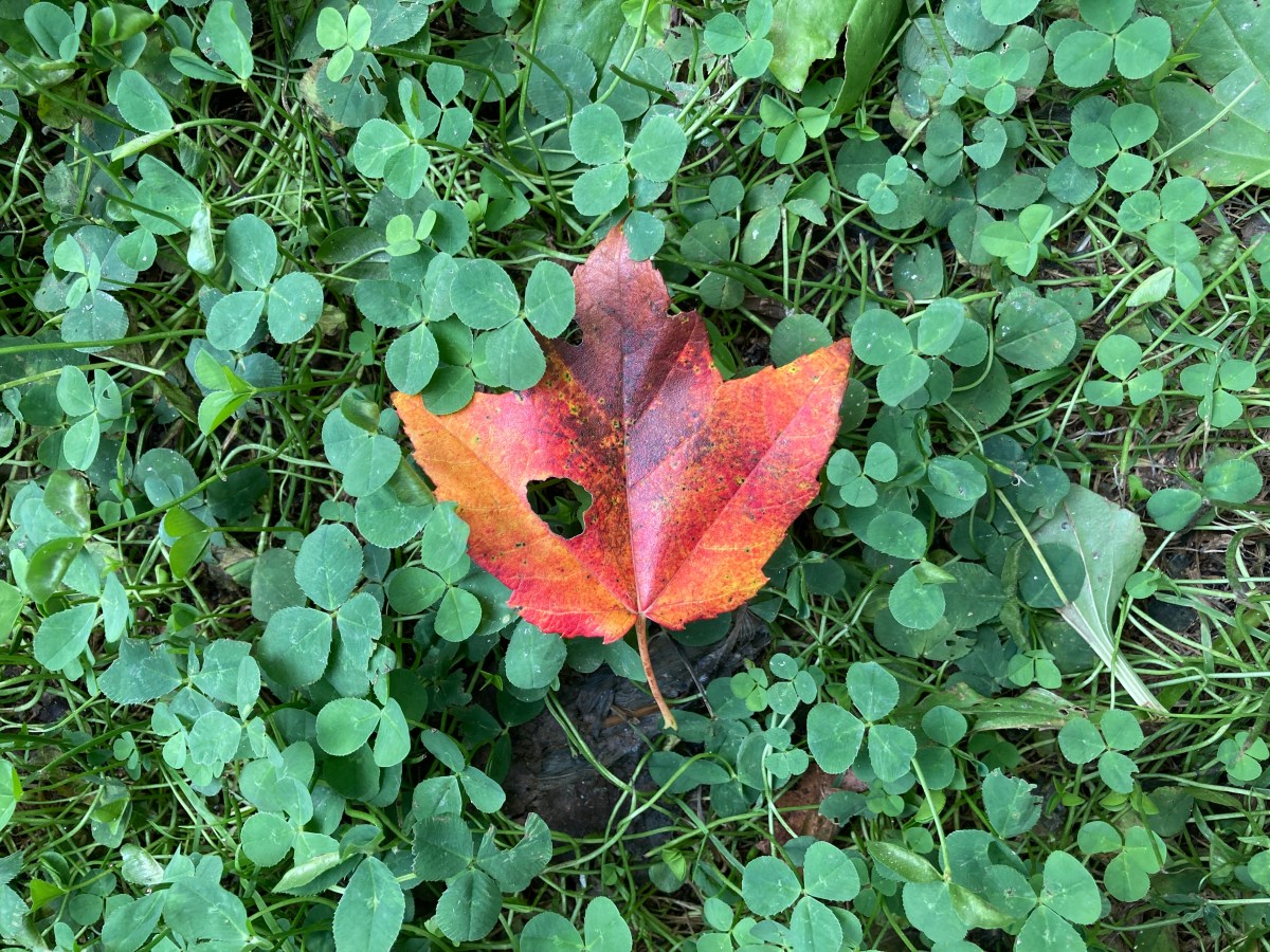 The Enoughness of God